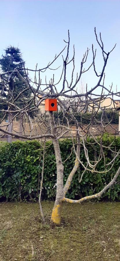 B&B Dimora Dei Folletti Monzuno Dış mekan fotoğraf